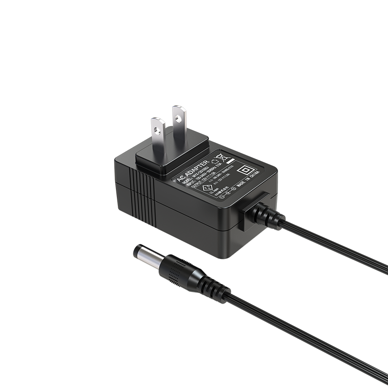 12V1A daily gauge